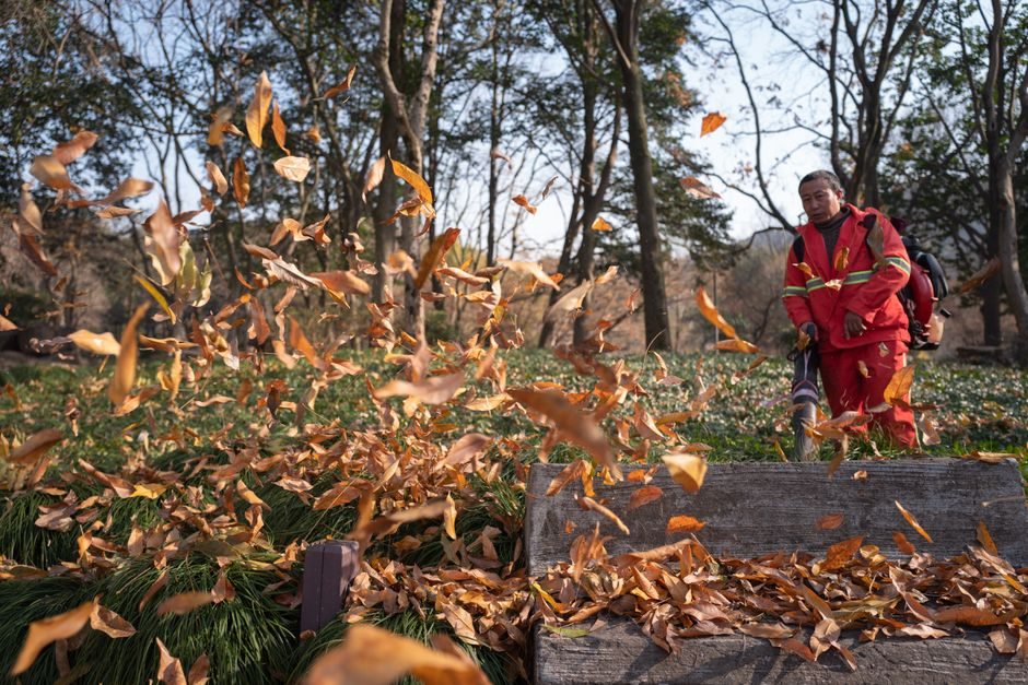 Souffleur de feuilles sur batterie
