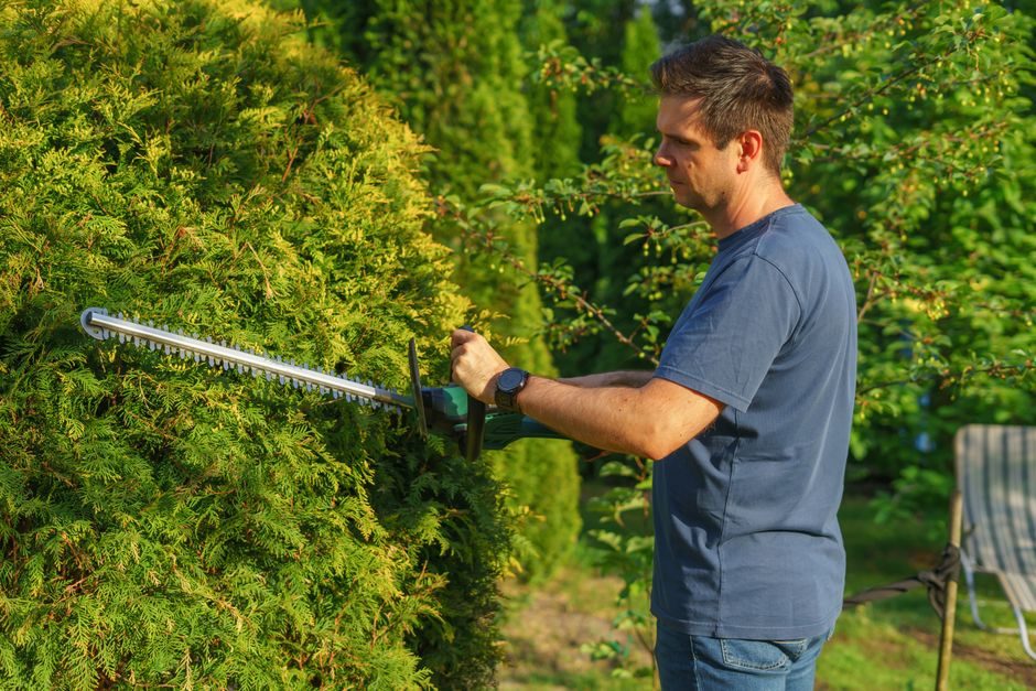 Taille-haie thermique HS&nbsp;45, lame 45&nbsp;cm STIHL