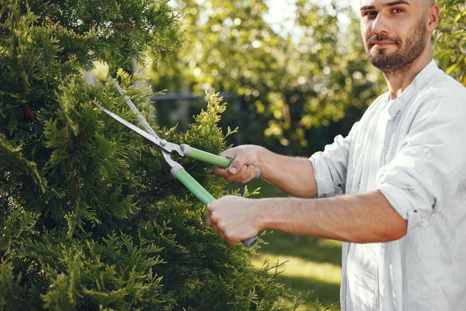 Taille-haie Linea 18&nbsp;V ONE+, lames 50&nbsp;cm, &eacute;cartement 24&nbsp;mm Ryobi