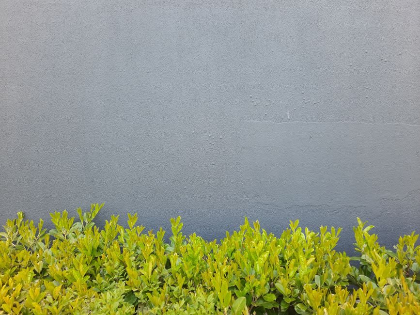 Taille-haie &eacute;lectrique GE-EH 6560, 650&nbsp;W Einhell