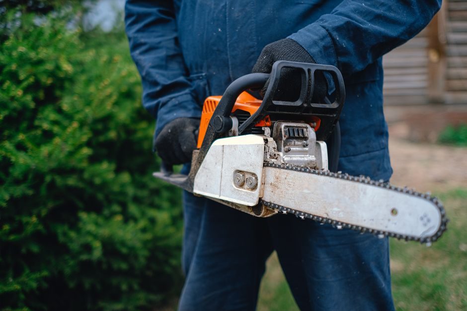 Tron&ccedil;onneuse &eacute;lectrique GE-EC 2240, longueur de coupe 37,5&nbsp;cm Einhell